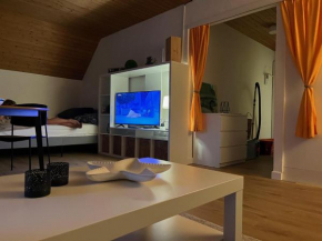 Studio unweit von Zürich